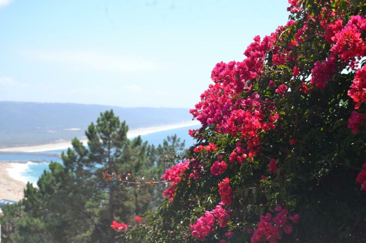 Encosta Do Sol Apartment Nazare Exterior photo