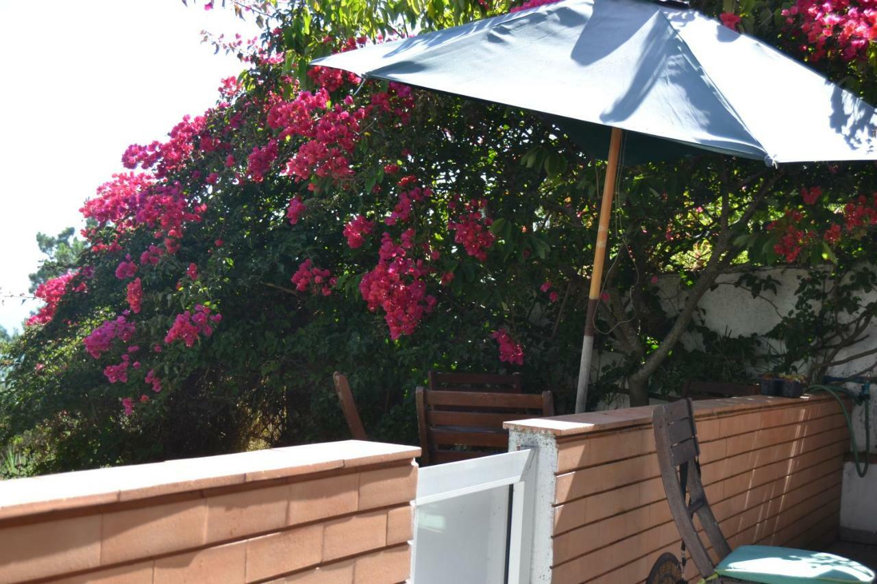Encosta Do Sol Apartment Nazare Exterior photo